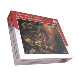 RSST 500 piece Jigsaw Puzzle